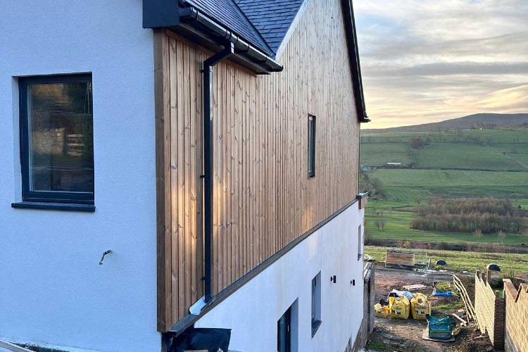 image insert services two